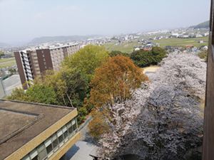 川崎医療短期大学 同窓会 松丘会 ホーム